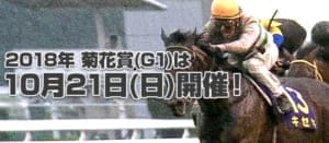 【2018年最新版】競馬のG1レース「菊花賞」を徹底解説 【2018年最新版】競馬のG1レース「菊花賞」を徹底解説