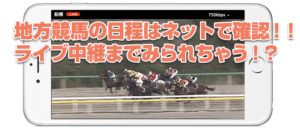 【2022年最新版】地方競馬の日程を1分で確認できるサイト5選