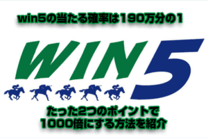 競馬の宝くじwin5の当たる確率を2つのポイントで1000倍にする方法を紹介 競馬の宝くじwin5の当たる確率を2つのポイントで1000倍にする方法を紹介