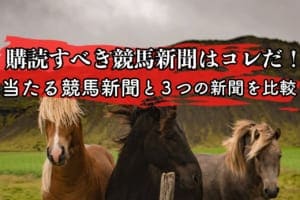 競馬予想が当たる!購読すべき競馬新聞と3つの競馬新聞を比較&分析 競馬予想が当たる!購読すべき競馬新聞と3つの競馬新聞を比較&分析