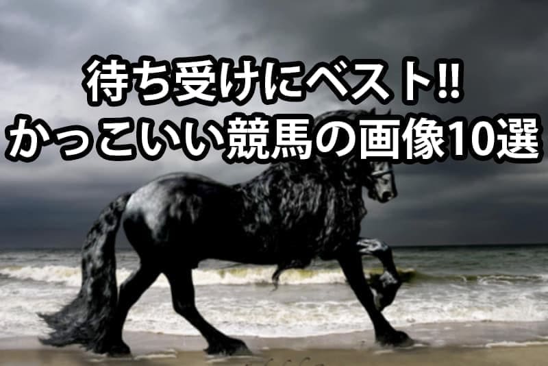 競馬 画像 かっこいい