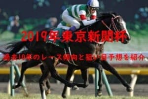 東京新聞杯2019を過去10年のデータから読み解く3つの傾向と穴馬予想
