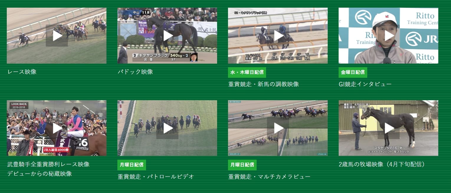 競馬で勝つために絶対見るべき5つの動画サイトを激選紹介