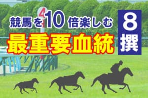 競馬は血統（産駒）の特徴を知るべき！8つの最強血統とその特徴を解説