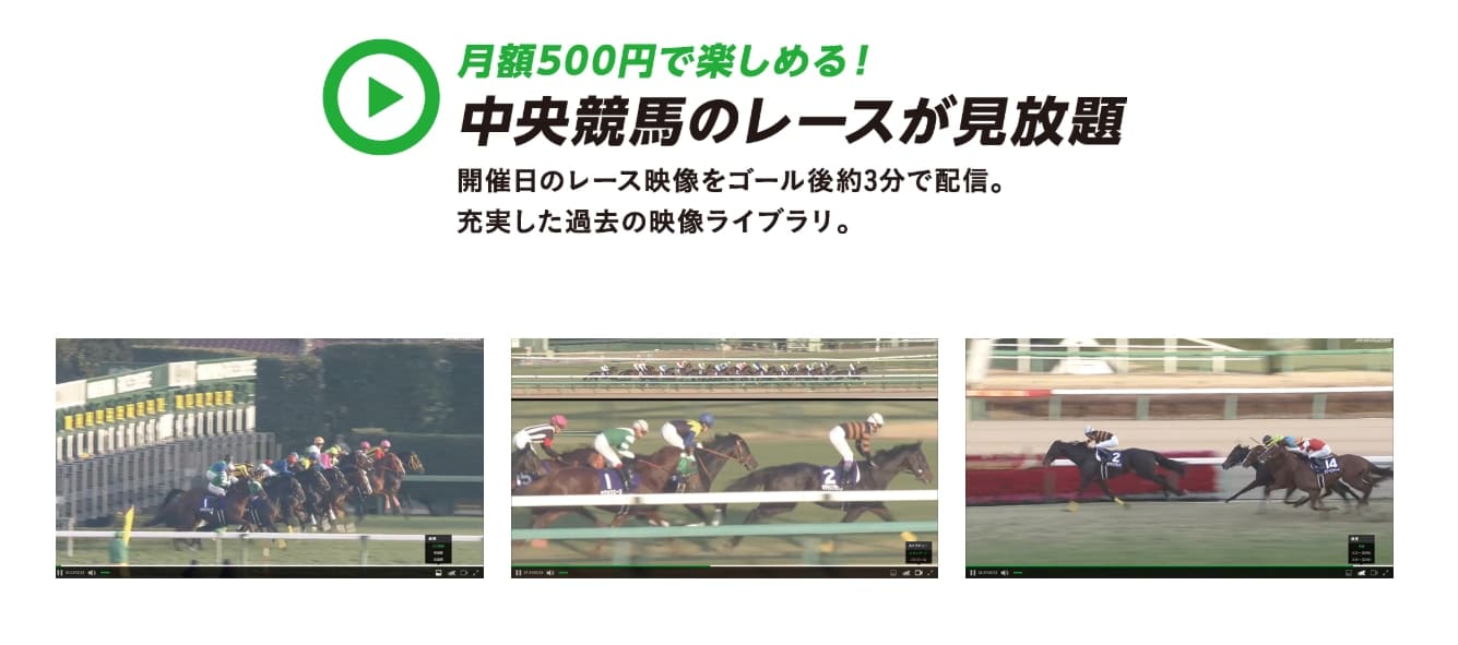 映像 競馬 レース