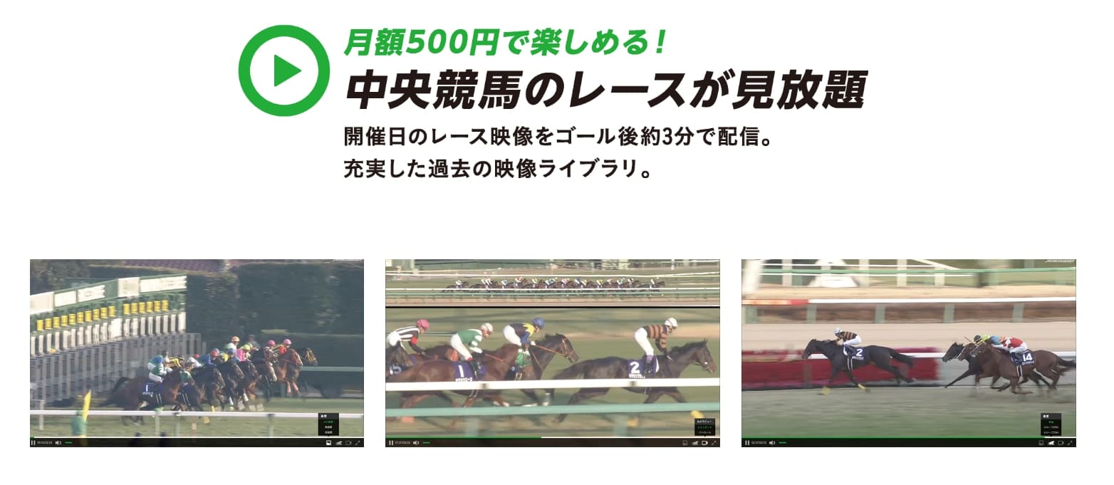JRAレーシングビュアー 月額500円
