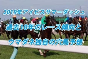 アイビスサマーダッシュ2019年過去から見る3つのレース傾向とウマダネ独自の予想