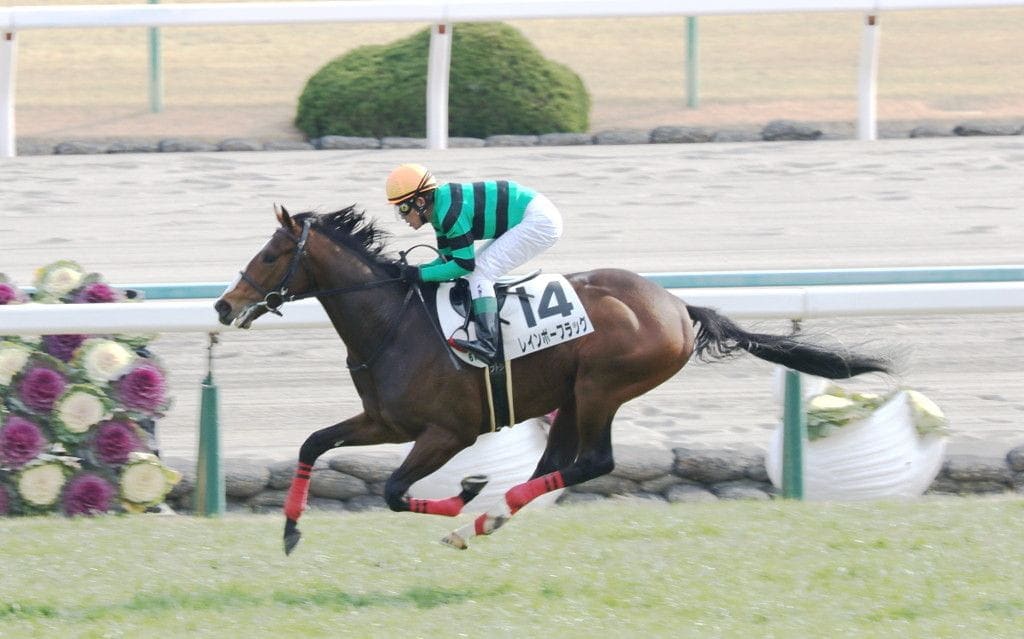 レインボーフラッグ
