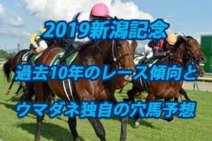 新潟記念2019年過去から見る3つのレース傾向とウマダネ独自の予想