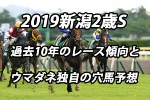 新潟2歳S2019年過去から見る3つのレース傾向とウマダネ独自の予想