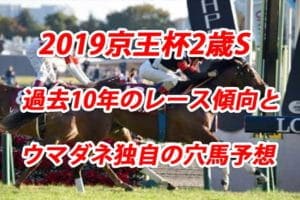 京王杯2歳S2019年過去から見る3つのレース傾向とウマダネ独自の予想 京王杯2歳S2019年過去から見る3つのレース傾向とウマダネ独自の予想