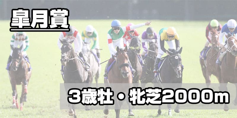 競馬のg1レース賞金一覧 2021年版 と世界の賞金ランキング