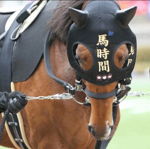 大人敏感な馬のマスク「メンコ」