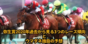 弥生賞2020年過去から見る3つのレース傾向とウマダネ独自の予想 弥生賞2020年過去から見る3つのレース傾向とウマダネ独自の予想