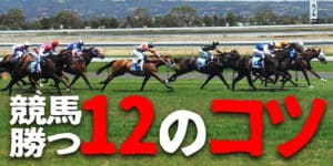 プロが教える絶対に競馬で勝てる12のコツ プロが教える絶対に競馬で勝てる12のコツ