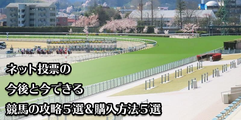 ネット 投票 競馬