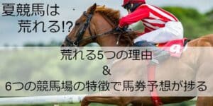夏競馬が荒れる5つの理由と各競馬場の特徴｜福島は特に荒れる傾向にあり