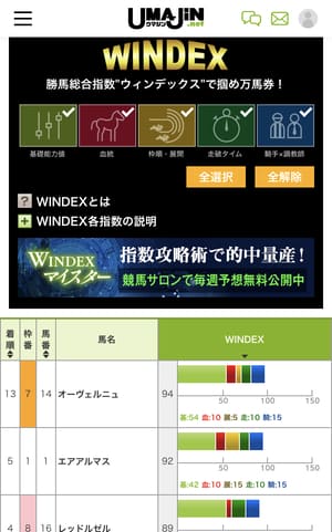 umajin.net windex