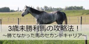 【夏競馬】3歳未勝利馬の攻略法＆勝てなかった馬のセカンドキャリア