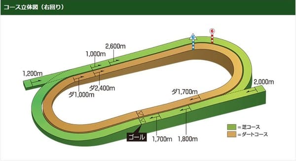 函館競馬場のコース立体図