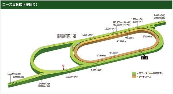 新潟競馬場のコース立体図