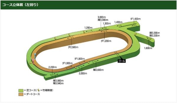 中京競馬場のコース立体図