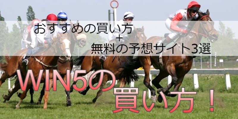WIN5 買い方