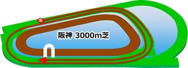 阪神3000m 芝