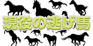 逃げ馬の現役の有力馬3選！勝率や逃げ馬向きの性格についても解説！