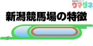 新潟競馬場 特徴