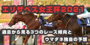 エリザベス女王杯2021年過去から見る3つのレース傾向とウマダネ独自の予想