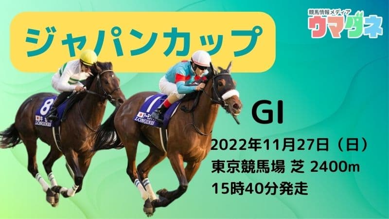 アーモンドアイ 2020 ジャパンカップ 現地 単勝馬券 - その他