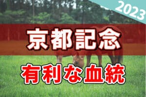 京都記念2023で注目の血統は？過去のデータから有利な血統を解説！