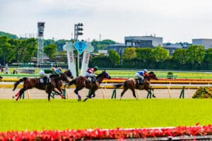 馬連流しで的中率・回収率を上げる6つの買い方を徹底解説 馬連流しで的中率・回収率を上げる6つの買い方を徹底解説