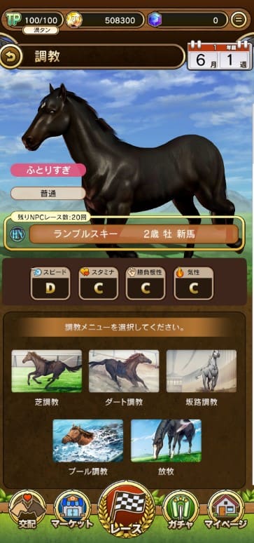 UNIVERSAL STALLION(ユニスタ)　調教によって競走馬を育成