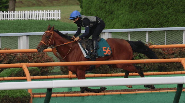 函館2歳ステークスの有力馬②：サトノカルナバルの画像