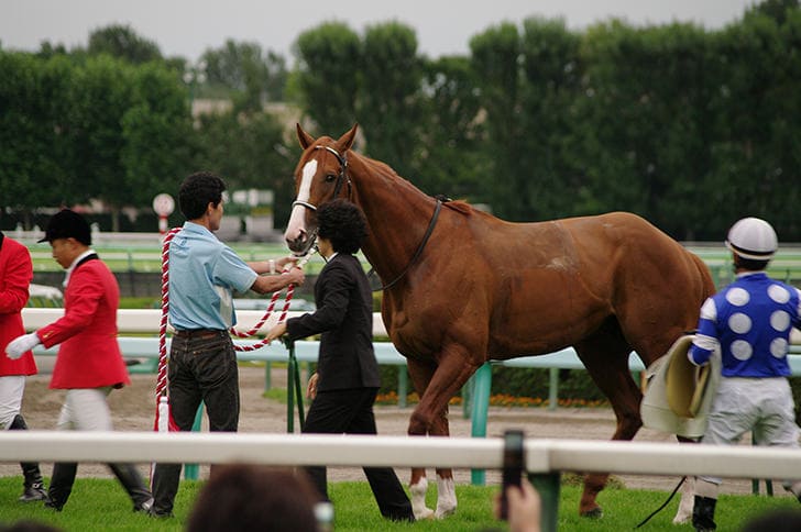 競馬 勝ち馬