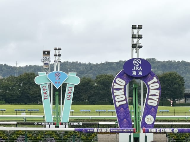 競馬 レース 選び方